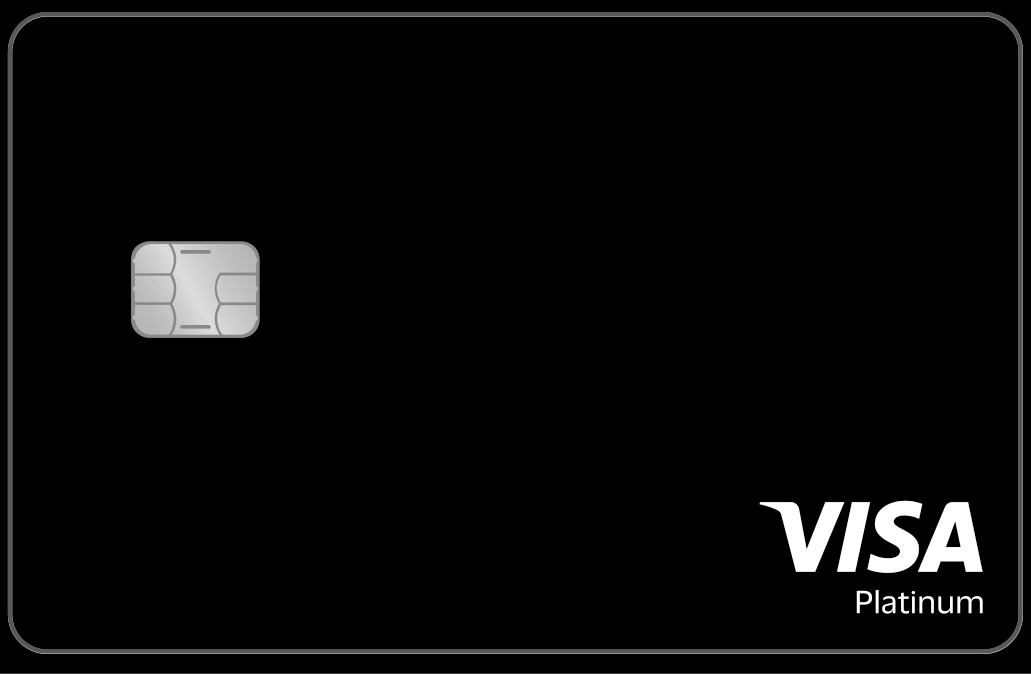 Tevau VISAプラチナブラック実物カード